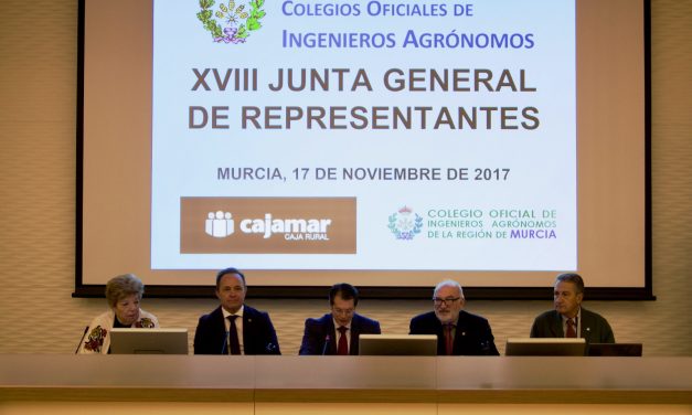 Celebración de la XVIII Junta General de Representantes del CGCOIA en Murcia